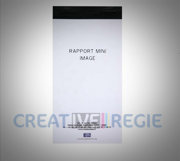 Photo de Mini rapport image