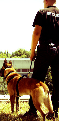 Agent de sécurité avec un chien